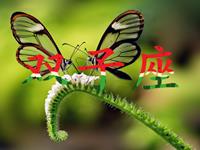 满分10分，双子座的人生得多少分