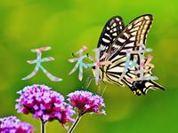 满分10分，天秤座的人生得多少分