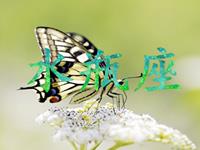 满分10分，水瓶座的人生得多少分