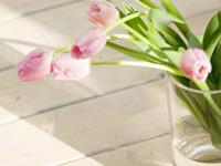 小乖麻根等卓玛2016年11月摩羯座运势