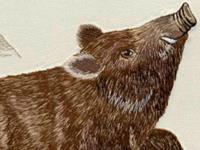 年前生肖猪需要谨防哪些事