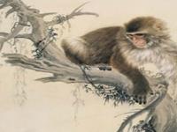 生肖猴该如何挽回破碎的爱情