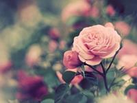 Alex星座运势2016年11月