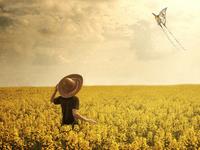 金爱伦2016年11月射手座运势