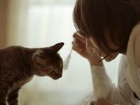 这些生肖花钱很豪爽