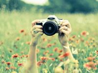 张盛舒紫微14主星本周运势(11.7-11.13)