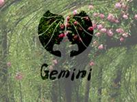 双子座需要升级啥新技能