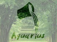 水瓶座需要升级啥新技能