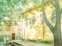 女巫树洞2016年11月水瓶座运势