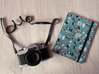 哪些生肖女注定活得比别人累