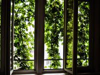 李居明2017鸡年生肖蛇运势