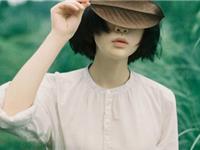 宋韶光2017年生肖龙整体运程