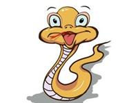 2017生肖蛇如何把握好自己的事业财运