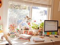 超灵验开运大师2017年十二生肖财气运势