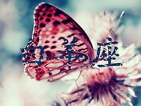 白羊座的爱情回头率高吗