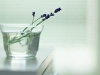 水蓝色眼泪2016年12月天秤座运势