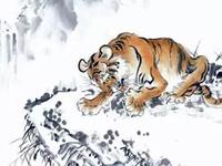 生肖虎，你的十二月工作运如何