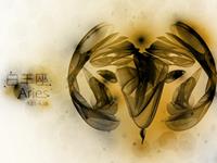 白羊座最想练成哪种武功秘籍