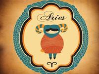 白羊座毁容了会怎么办