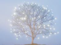 圣诞节生肖猴最想收到的礼物