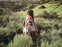 洛娜2016年12月占星运势