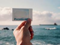 Alex2016年12月狮子座运势