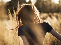 滴天居士2017年属鸡的运势