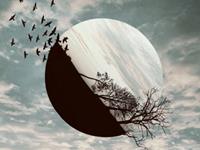 人为什么会做噩梦？噩梦会有什么后果