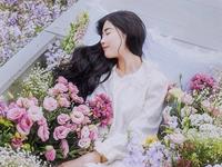 泓翔2017年生肖猪流年整体运程