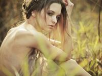 解析生肖鸡找到真爱的概率