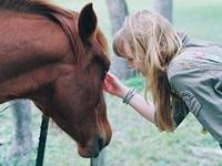 凯利2017年摩羯座运势