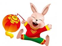 麦玲玲2017年生肖兔运势