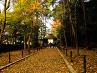 生肖兔会巧遇良缘的地方