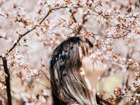 肖百奇属蛇的人2017年整体运势