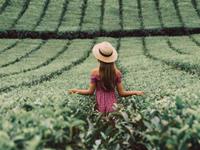 测你不擅长与哪类人相处