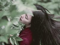 熊神进2017年鸡年猴生肖运程