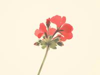 生肖鼠务必要远离的一种人