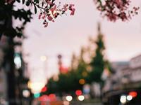 App2017年星座运势双子座