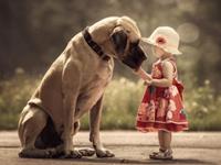 测你会单身多久