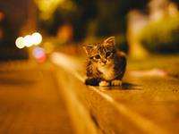 App2017年星座运势水瓶座