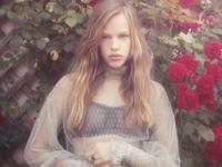 海百合2017年狮子座运势