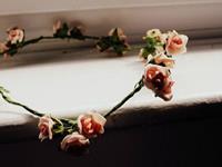 董易林2017年生肖龙的运势