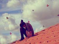 双子座的软肋和铠甲是什么