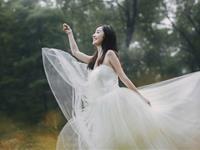 柒爸2017年1月金牛座运势