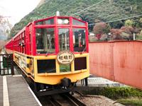 杨清华2017年牛生肖运势