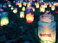 杨清华2017年马生肖运势