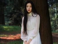 2017生肖猪要注意的情感问题