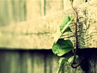 双子座必须要知道的道理