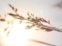 摩羯座必须要知道的道理