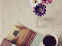 金牛座一生最不想放弃什么